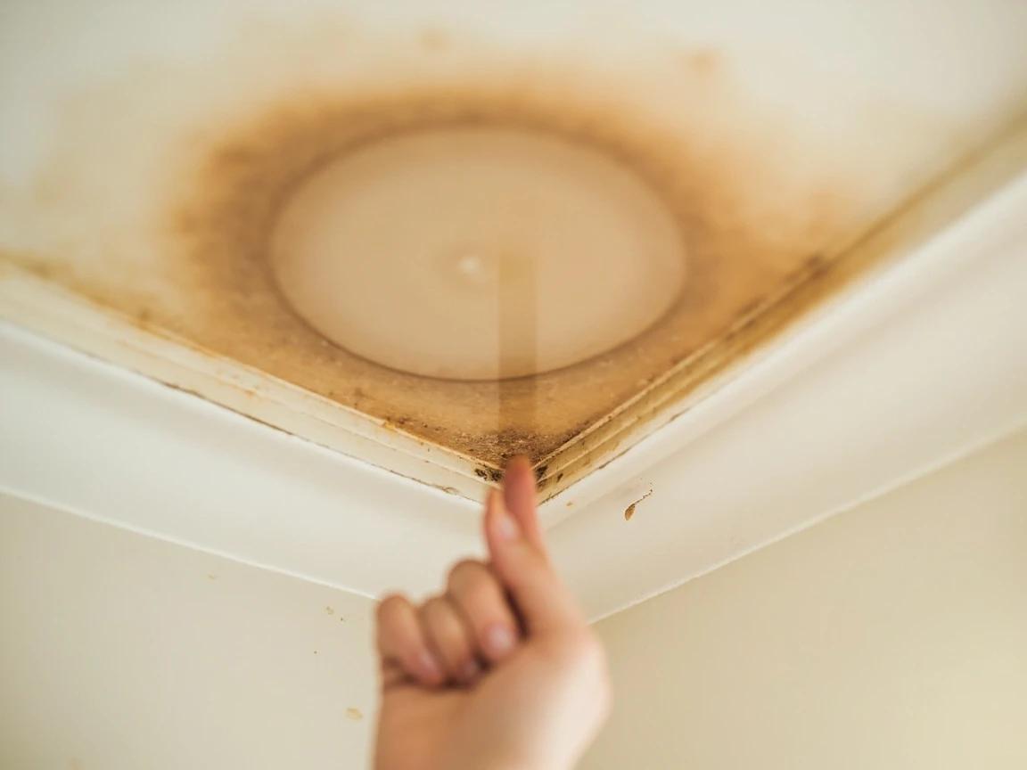 Step 8 of How to Inspect Your Roof for Damage: Scan the Ceilings and Walls Inside
