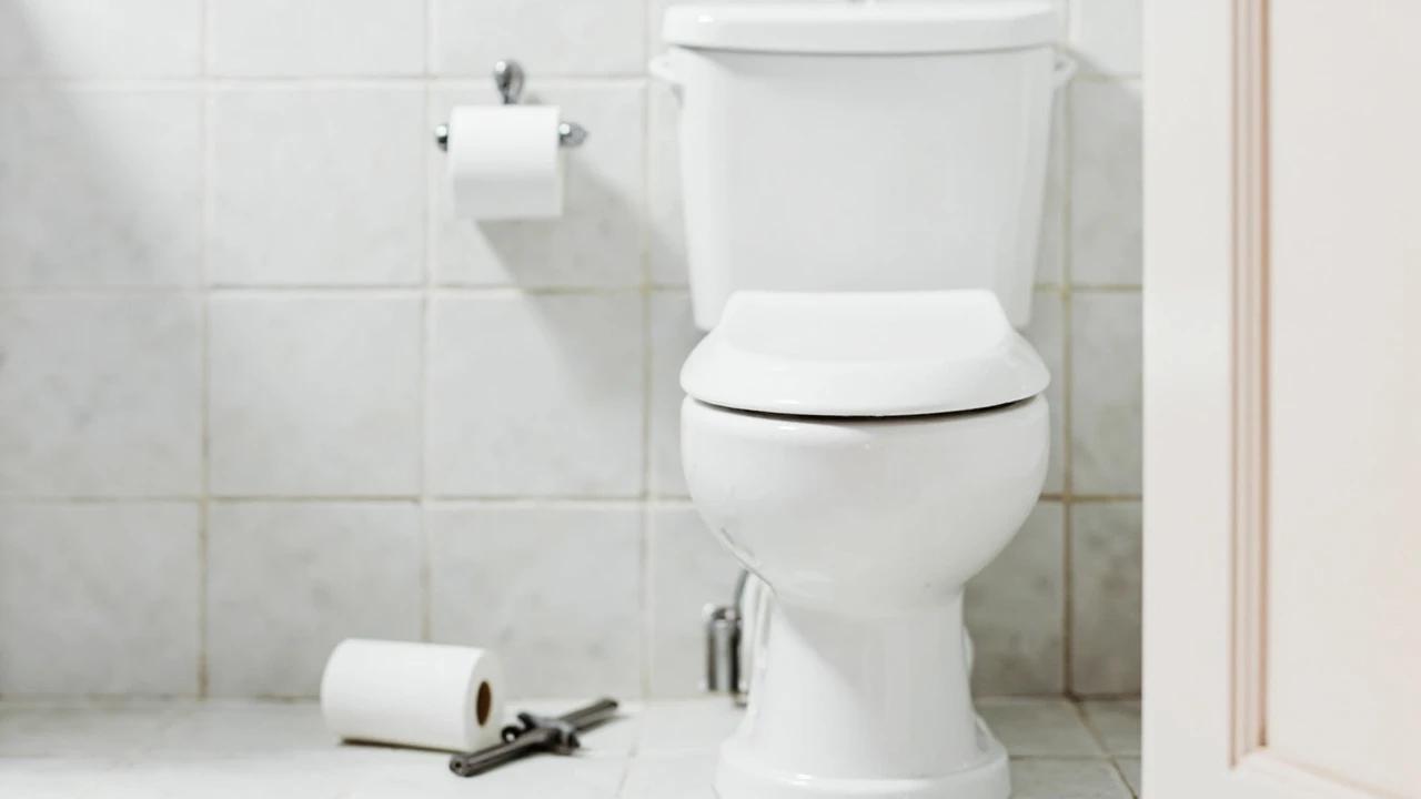 How to Install or Replace a Toilet — finished result