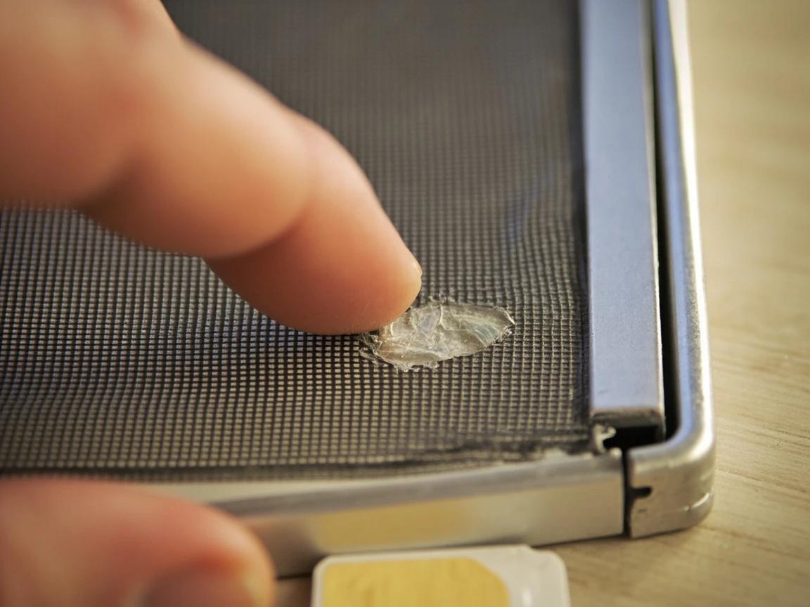 Step 2 of How to Replace a Window Screen: Decide: Patch, Rescreen, or New Frame